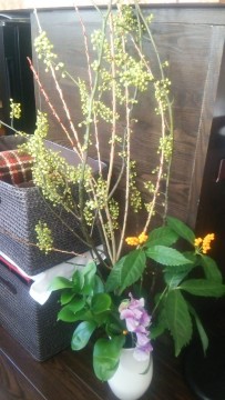 FB_IMG_1484970685920